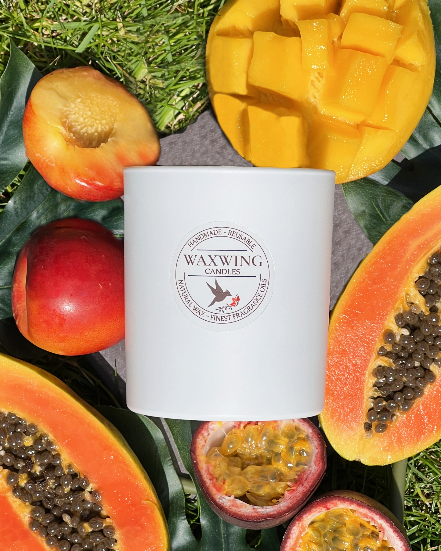Tropical Infusion