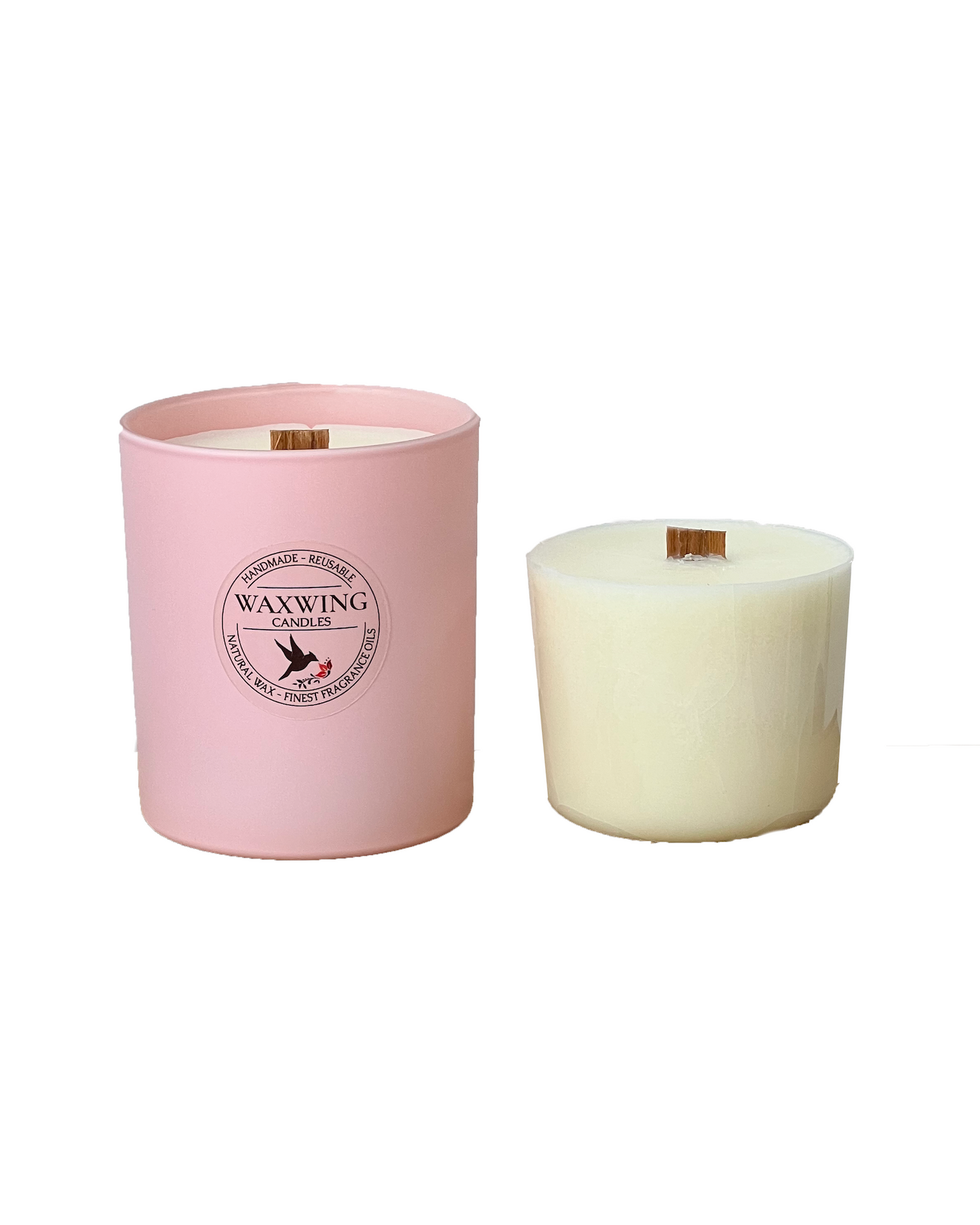 Blush Pink Starter Kit