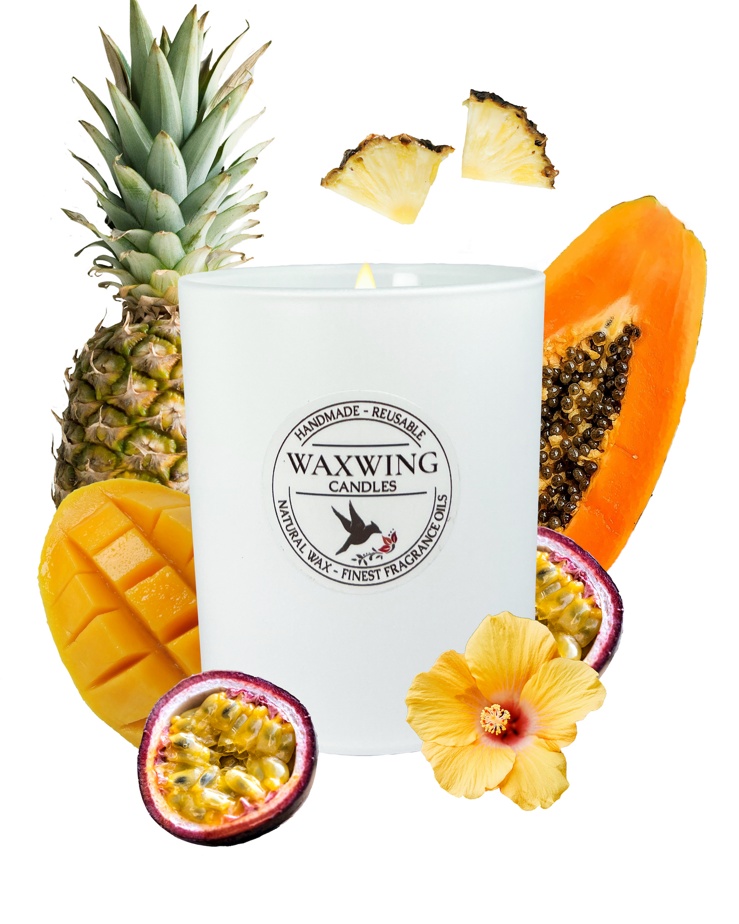 Tropical Infusion